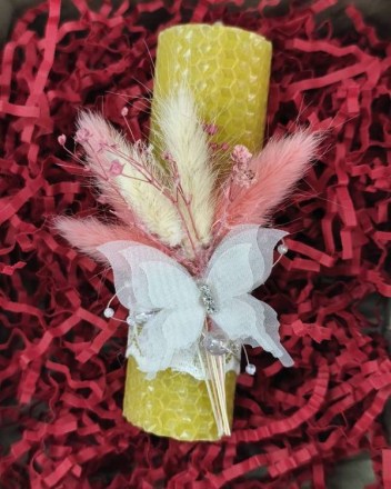 8  α  κερι πεταλουδα (1)